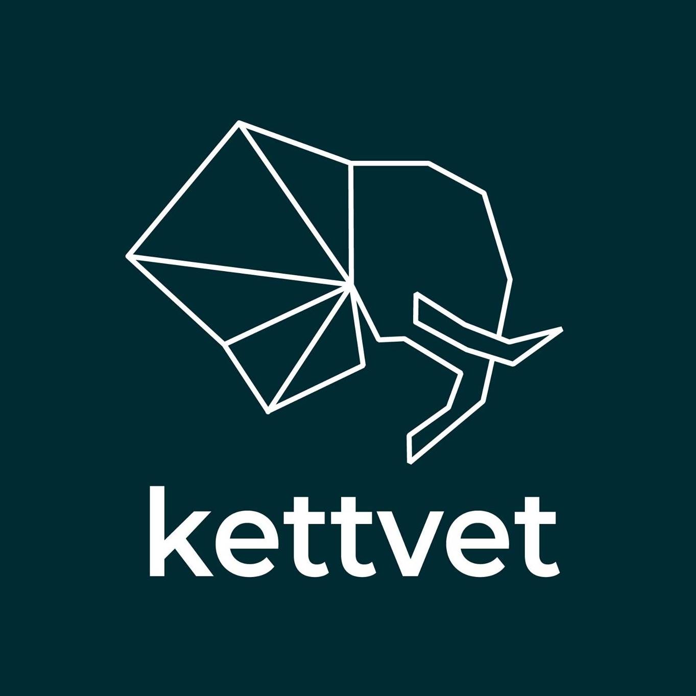 cropped-Logo-kettvet-01-scaled-1